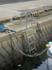 ��q����E��t��