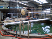 �n������E��t��